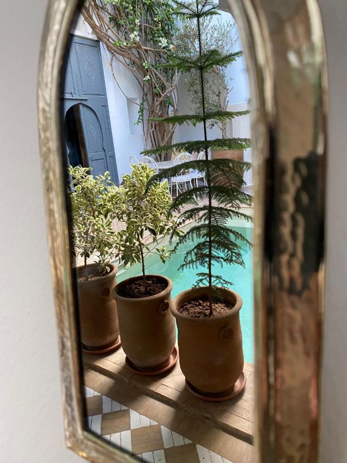 מרקש Riad Magellan Yoga And Spa מראה חיצוני תמונה