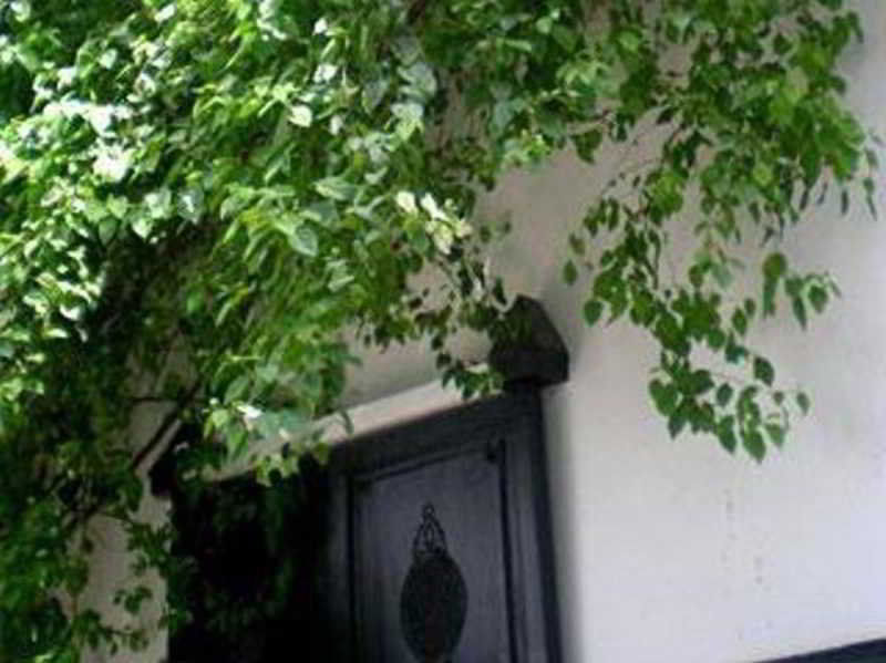 מרקש Riad Magellan Yoga And Spa מראה חיצוני תמונה